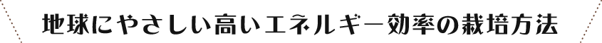 地球にやさしい高いエネルギー効率の栽培方法